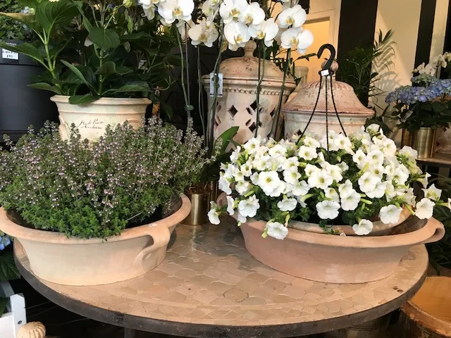 Cretan Terracotta Bowls