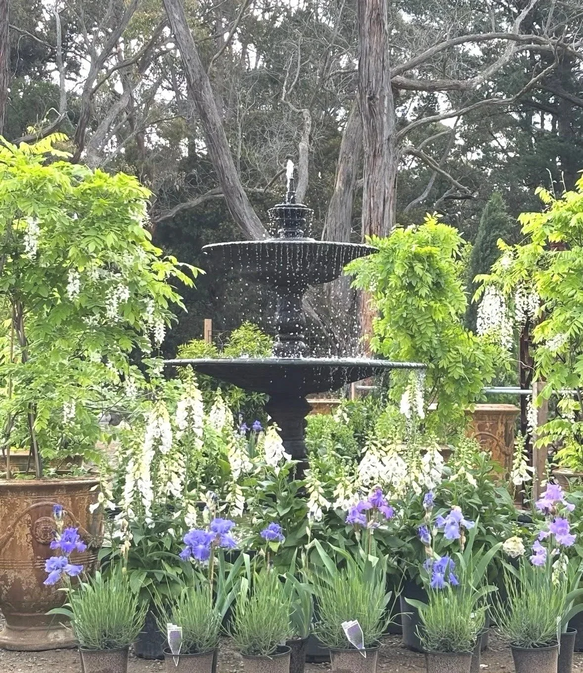 Nursery fountain.jpg