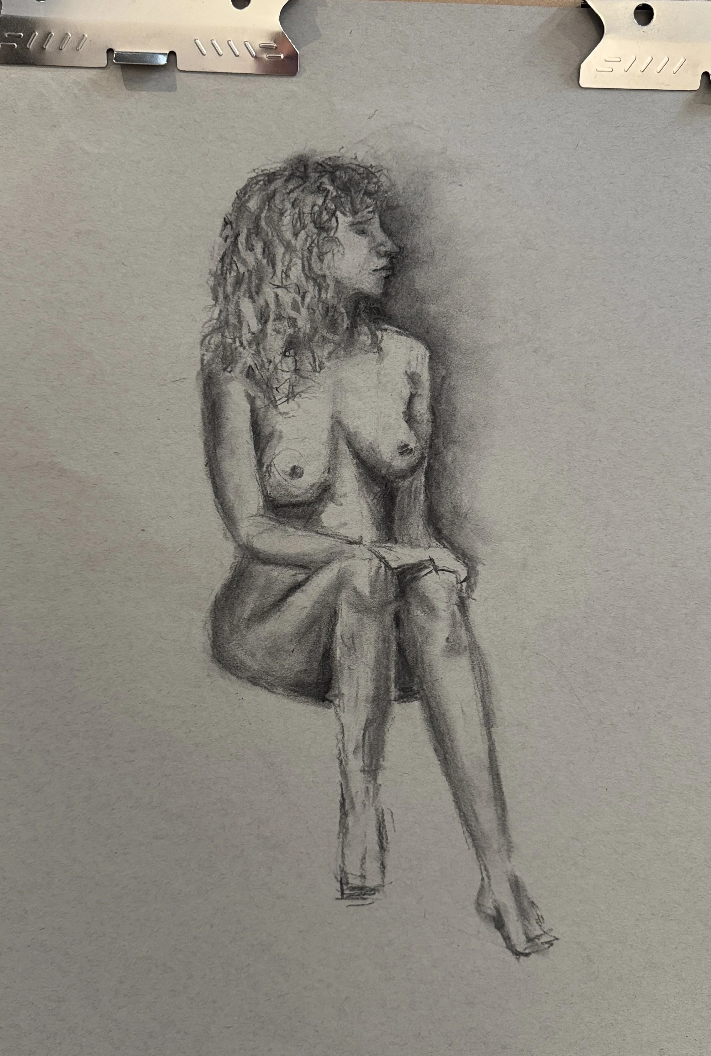 2 Hour Quick Study - Vine Charcoal on Toned Paper