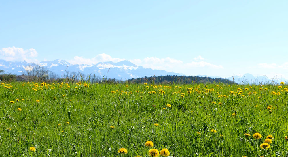 The Clear Way Spring Retreat - Lausanne Switzerland