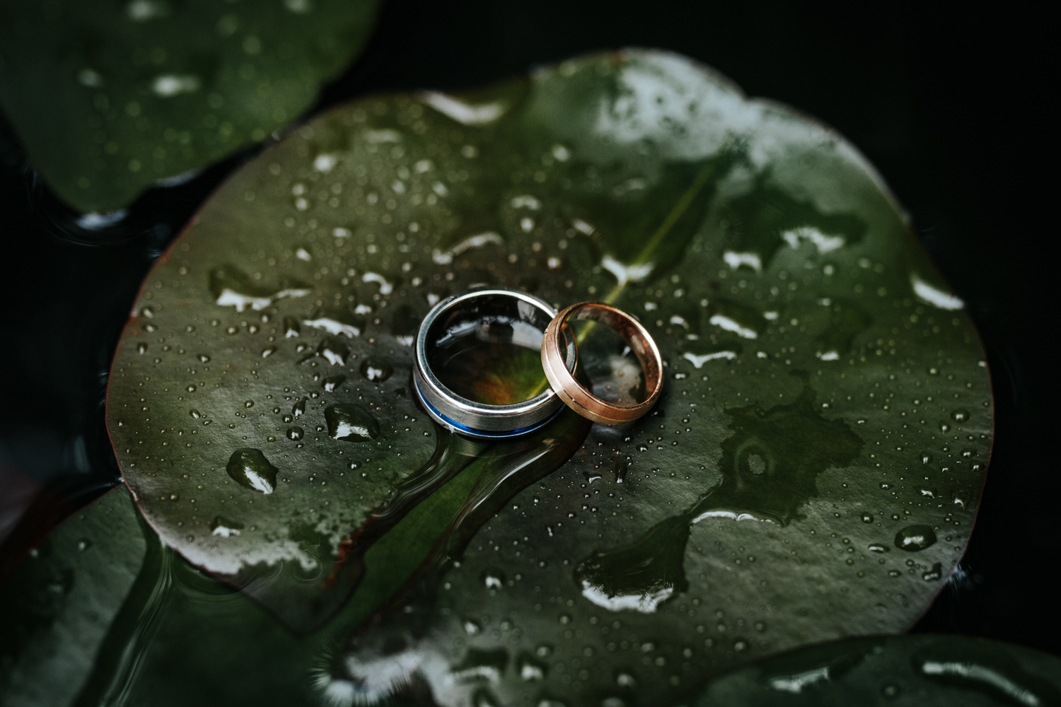 untitled-1.jpg