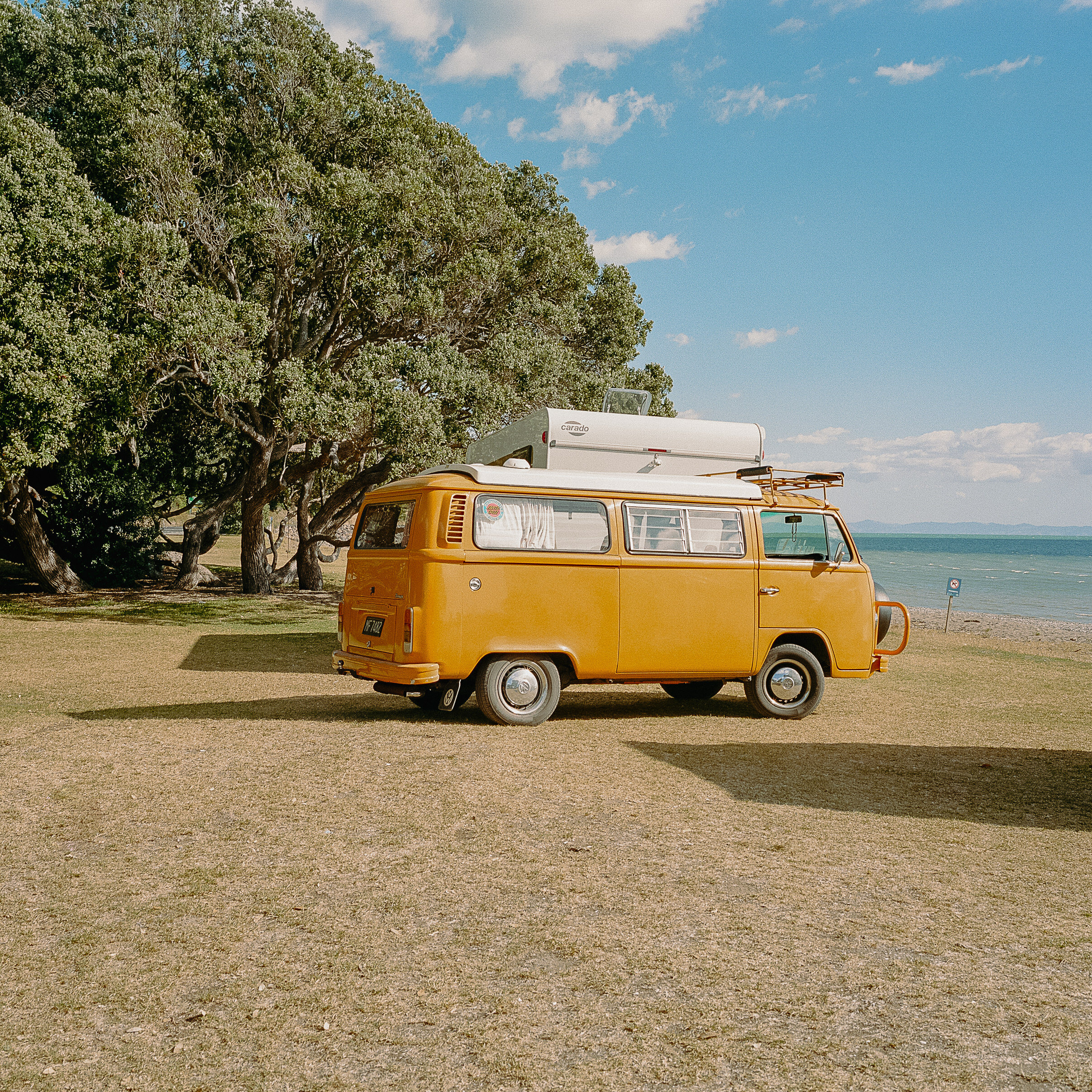 The Dream - Tapu Bay