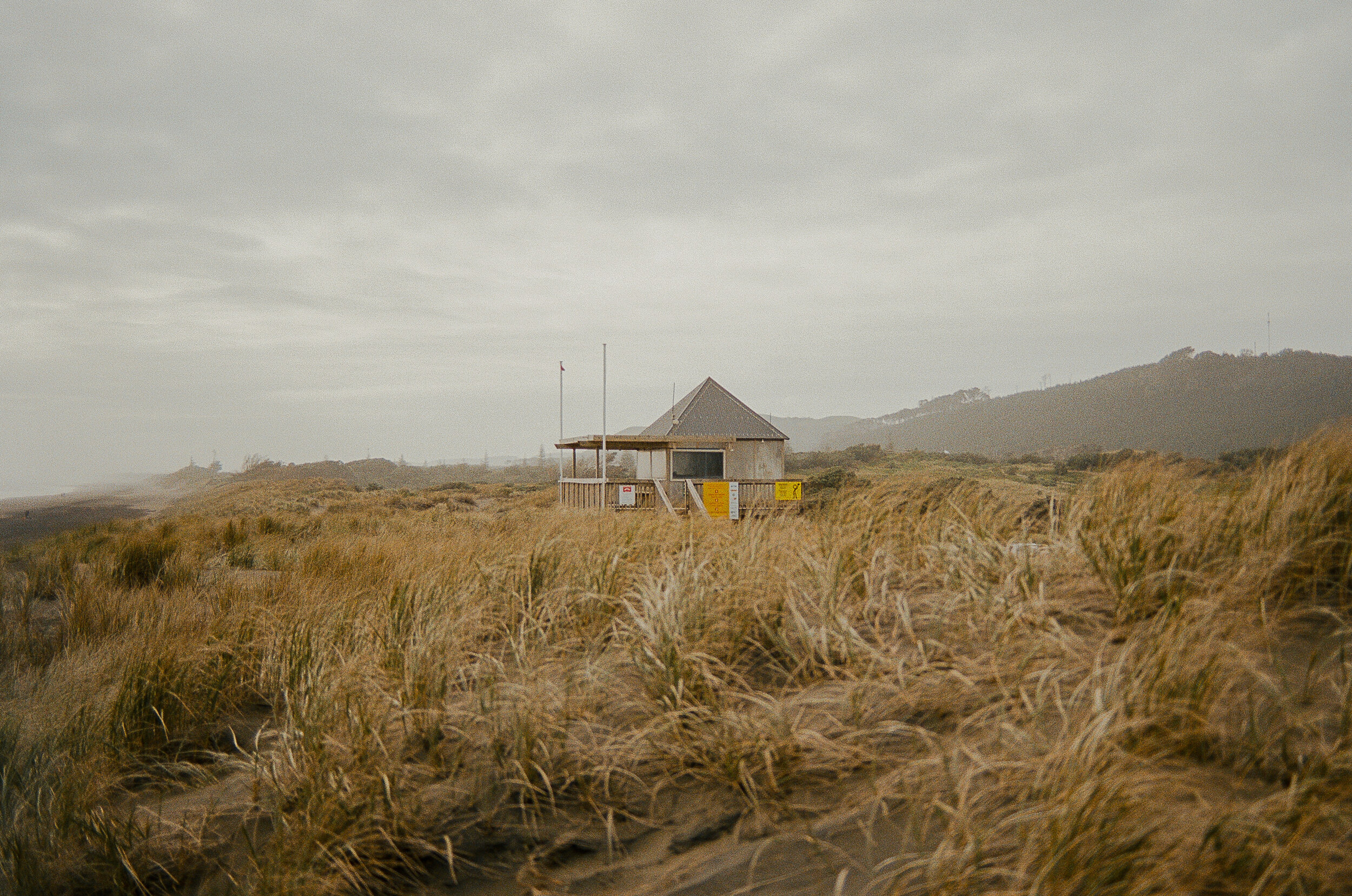Muriwai Lifeguard 