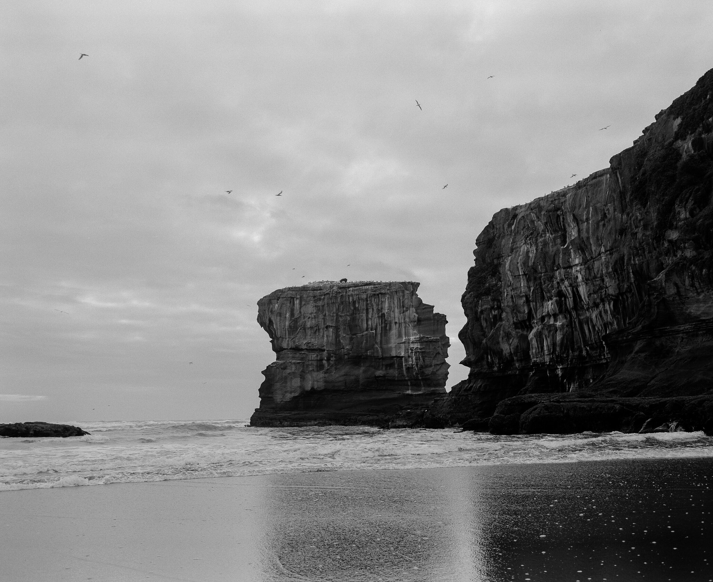 Maori Bay 