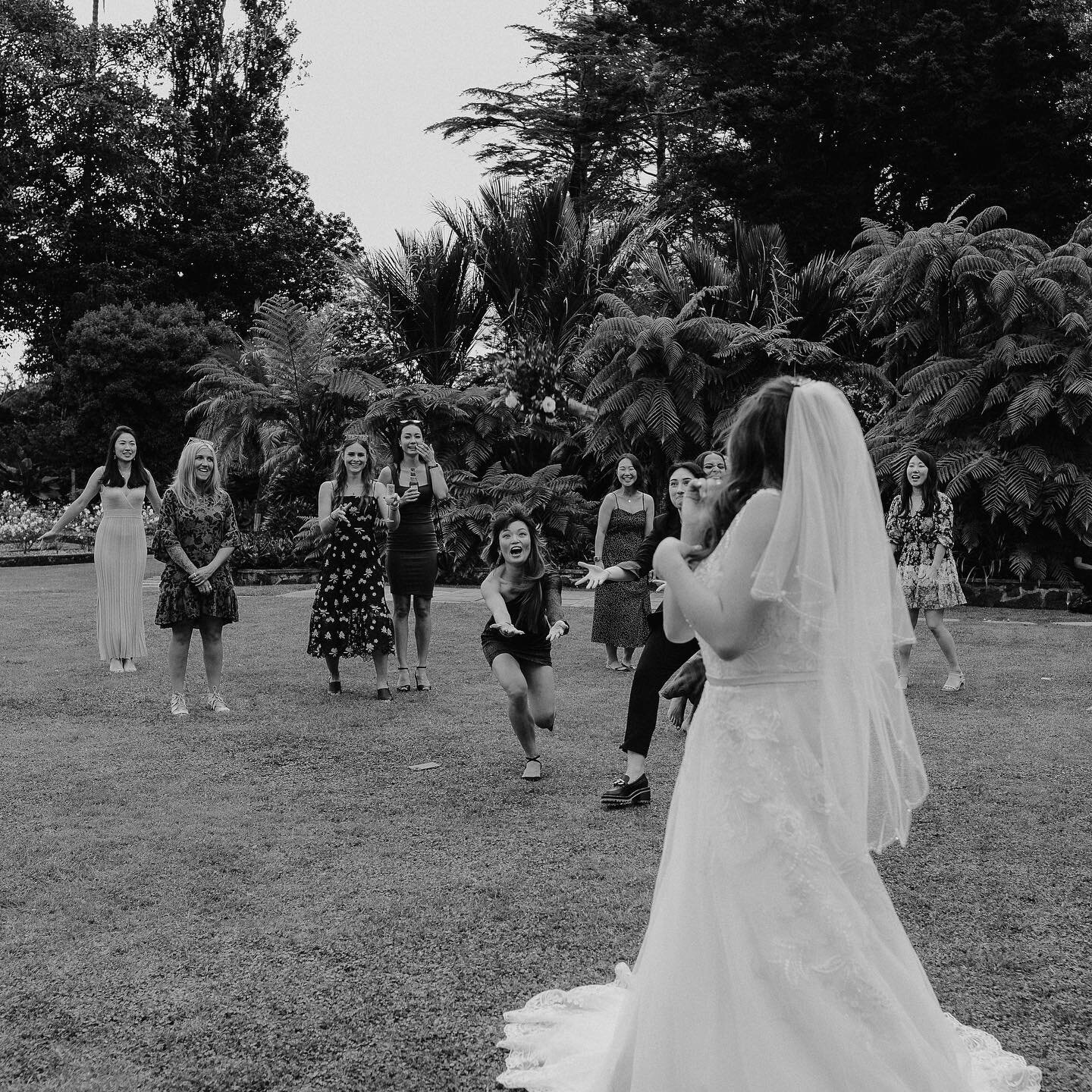 Super 8 Film Auckland Wedding Photographer super-8-film-auckland-wedding-photographer