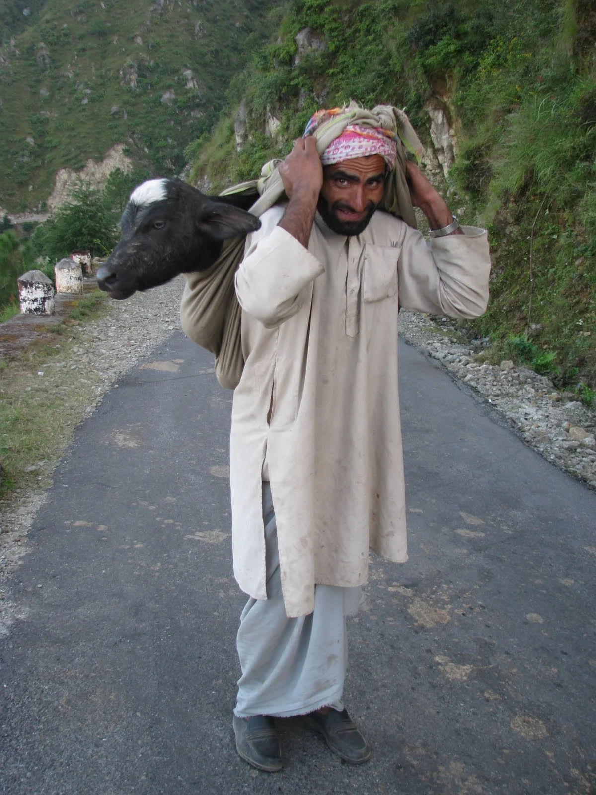A man carries a baby buffalo who cannot walk the migration on his own yet