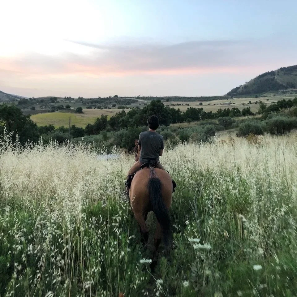 1906 Sizilien Selektion 53.jpg