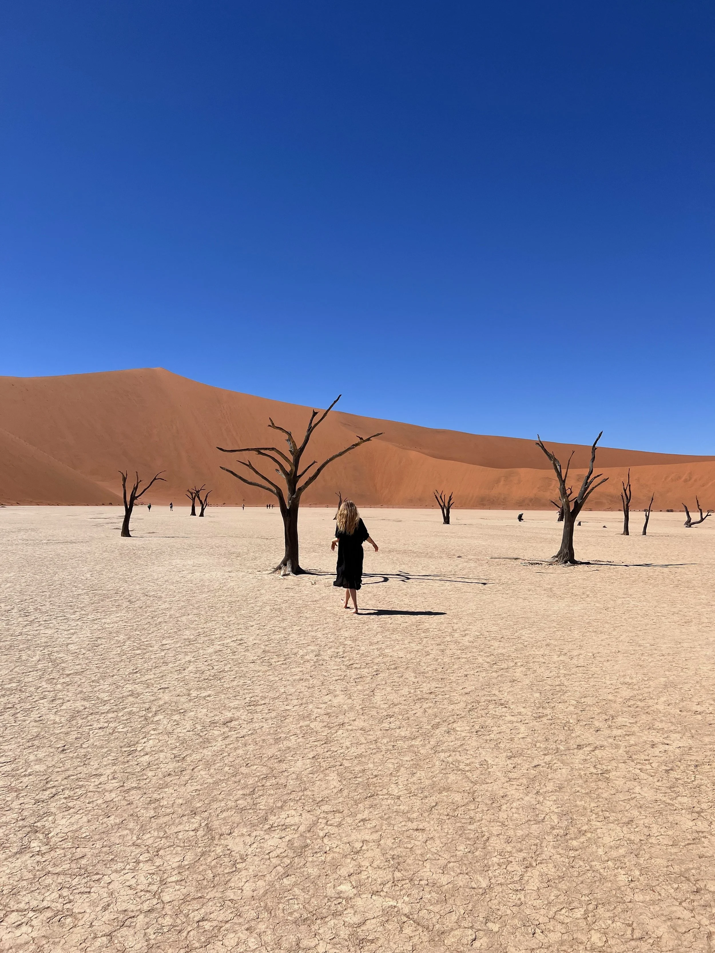 23 Namibia Top 59.jpeg