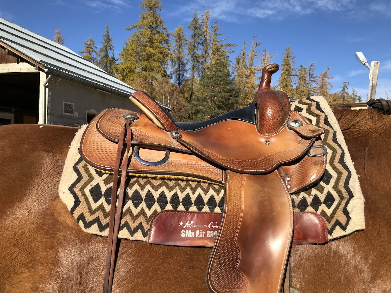 18 RYE 14 Best of 6.jpeg