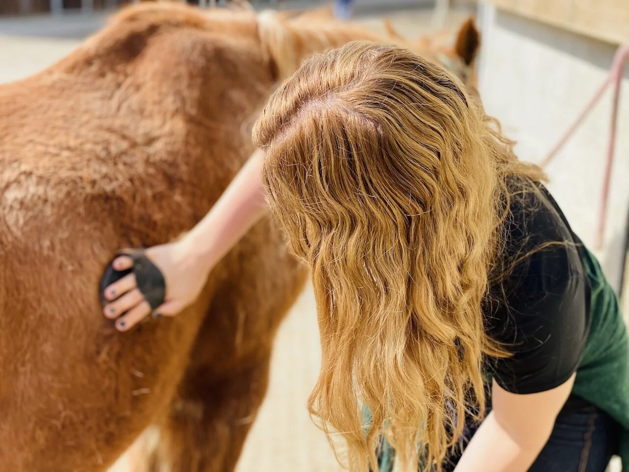 21 RYE 7 Top 25.jpeg