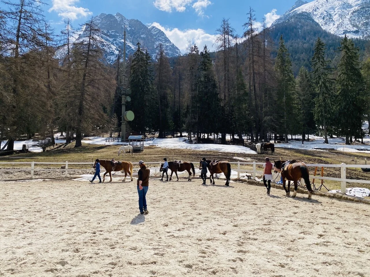 21 RYE 7 Top 29.jpeg