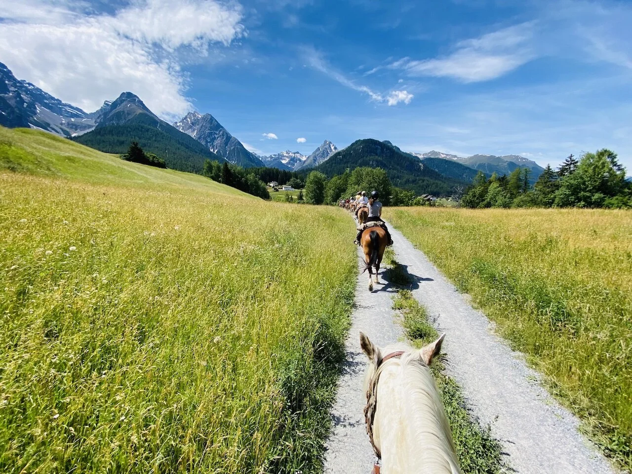 Wanderreiten &amp; Yoga im Unterengadin - mit Catherine