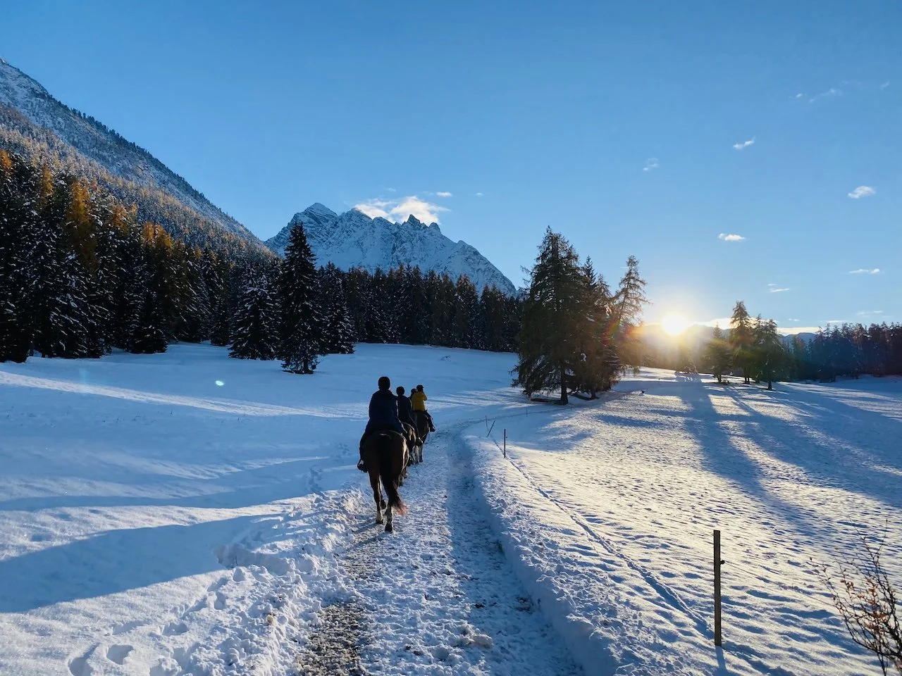 21 RYE 22 Top 14.jpeg