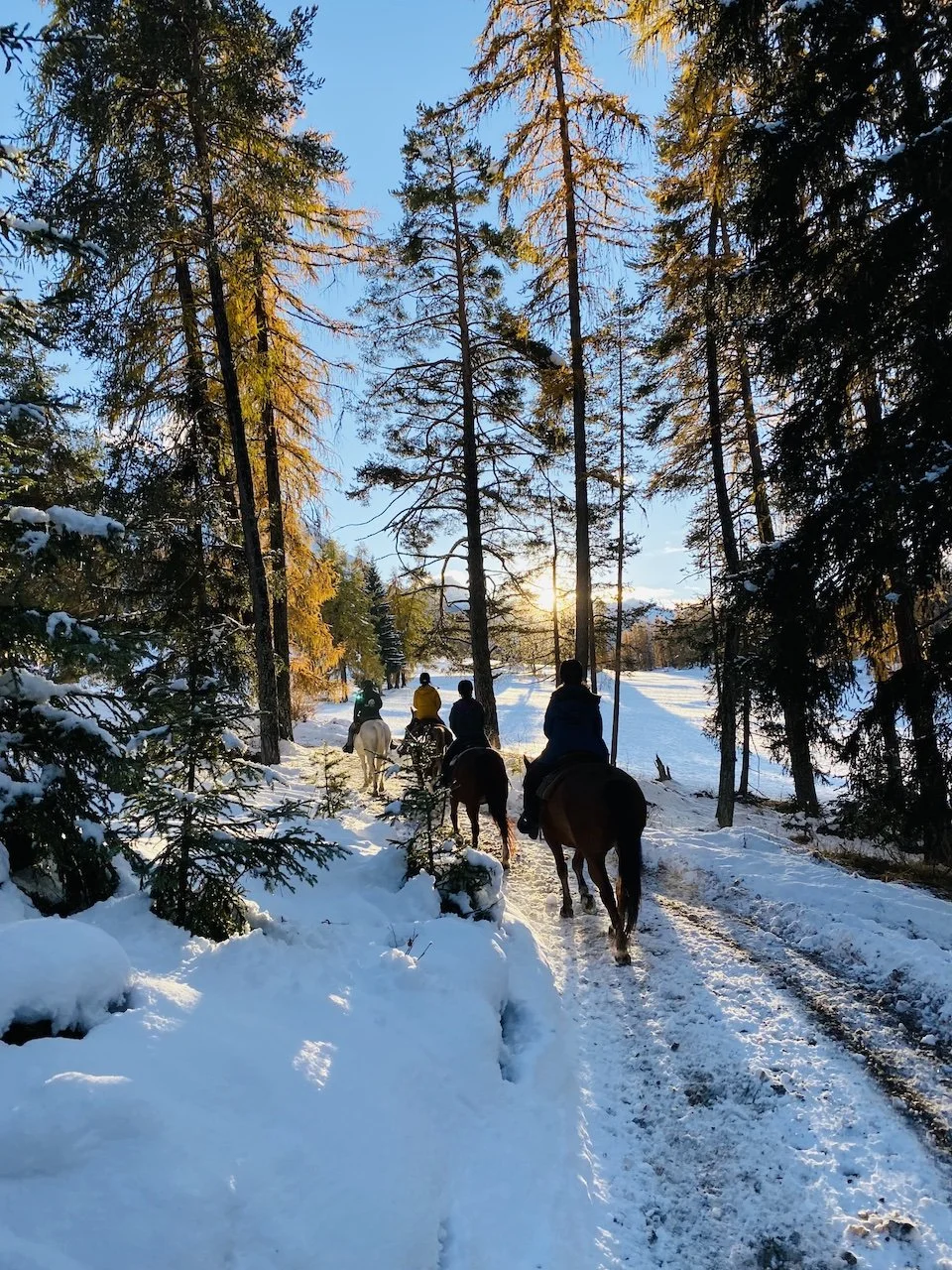 21 RYE 22 Top 12.jpeg