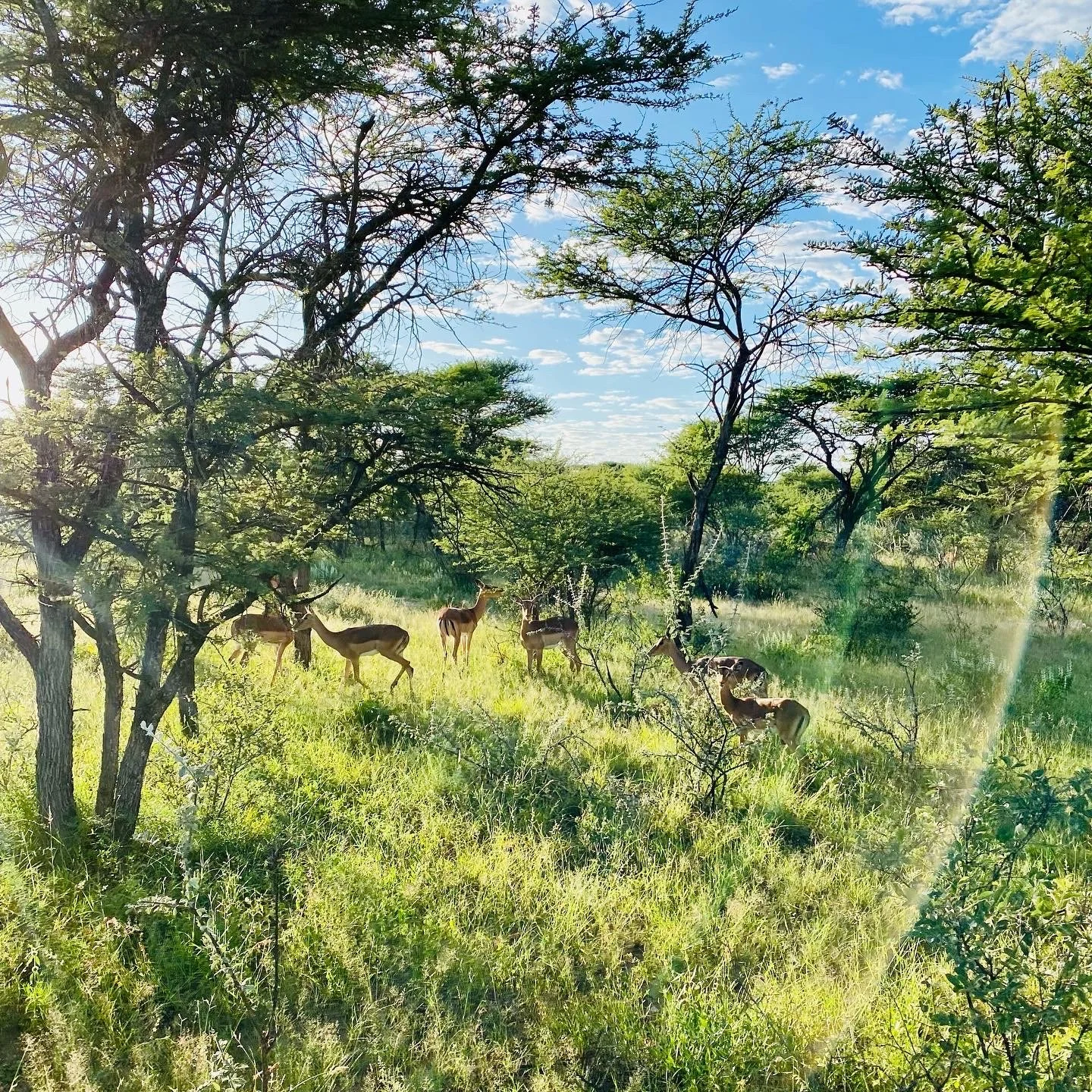 22 Namibia Originale 26.JPG