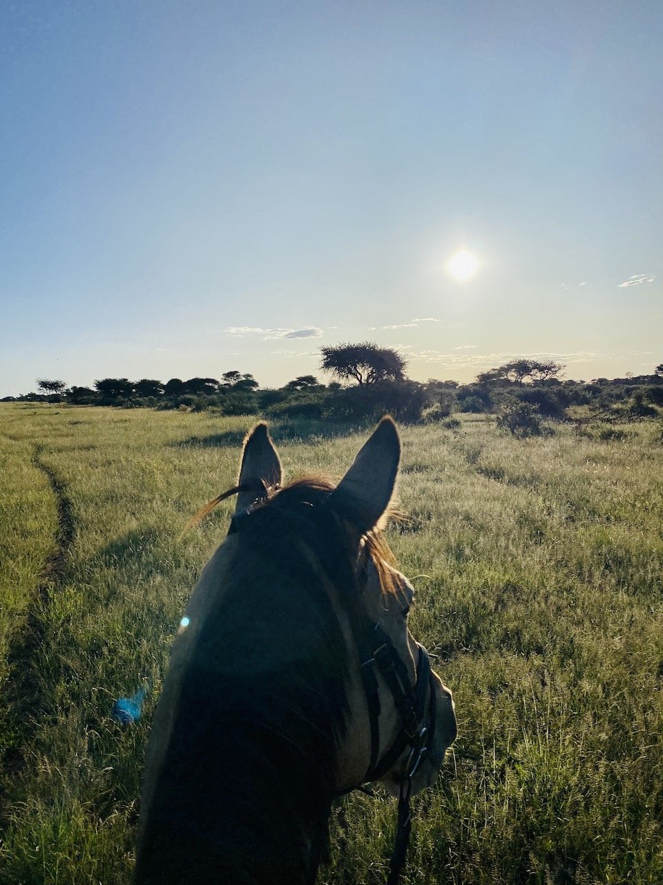 22 Namibia Favoriten 139.jpeg