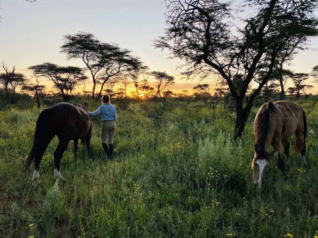 WARTELISTE - Pferde-Safari & Yoga in Namibia - mit Catherine