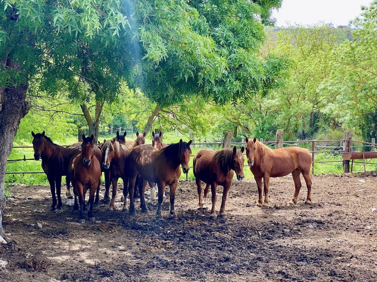 22 Sizilien Favoriten 54.jpeg