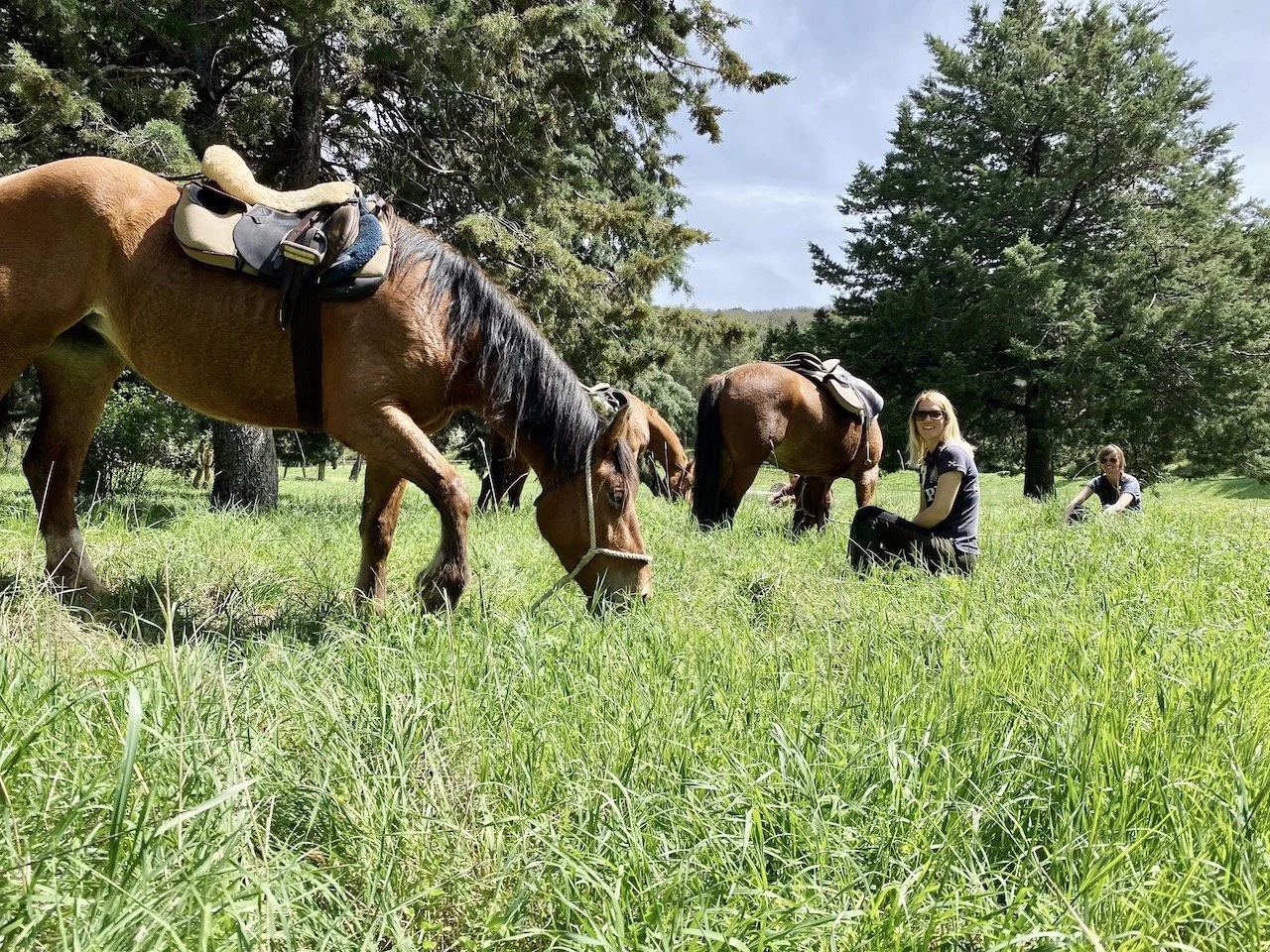 22 Sizilien Favoriten 102.jpeg