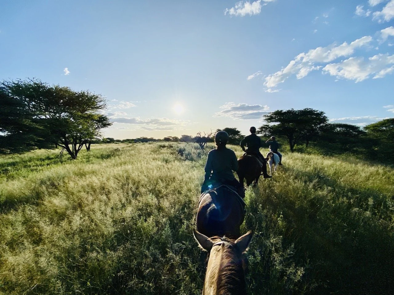 WARTELISTE - Pferde-Safari &amp; Yoga in Namibia - mit Catherine