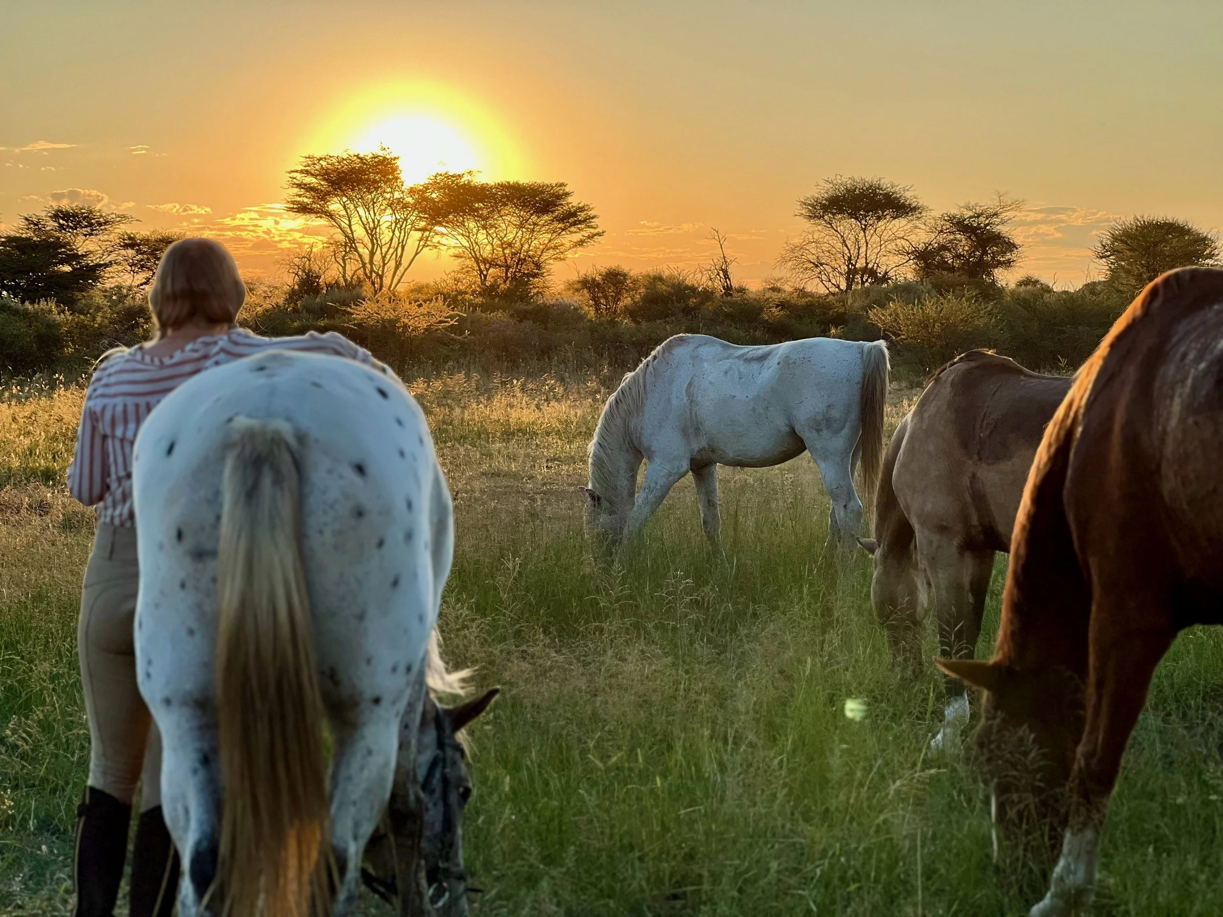 23 RYN 1 Selektion 965.jpeg