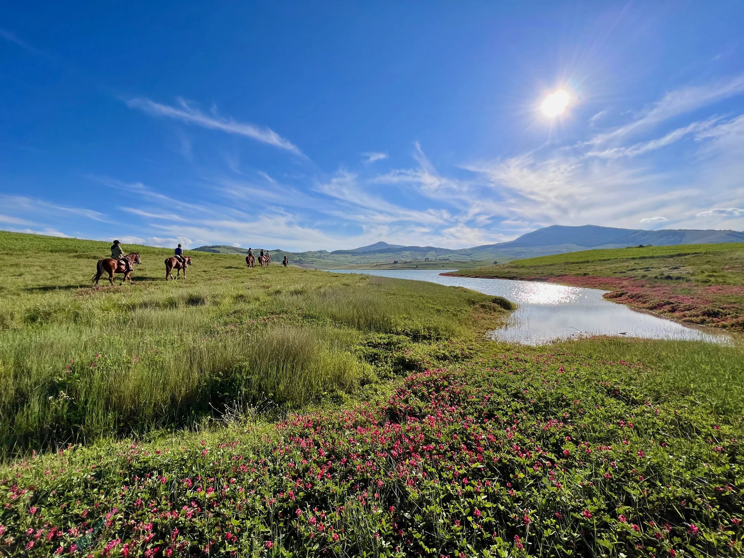 23 RYS 2 Top 63.jpeg