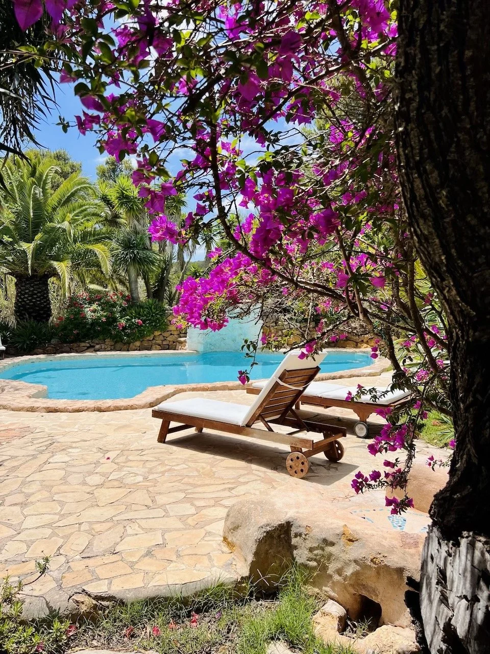 23 RYI 1 Top 32.jpeg