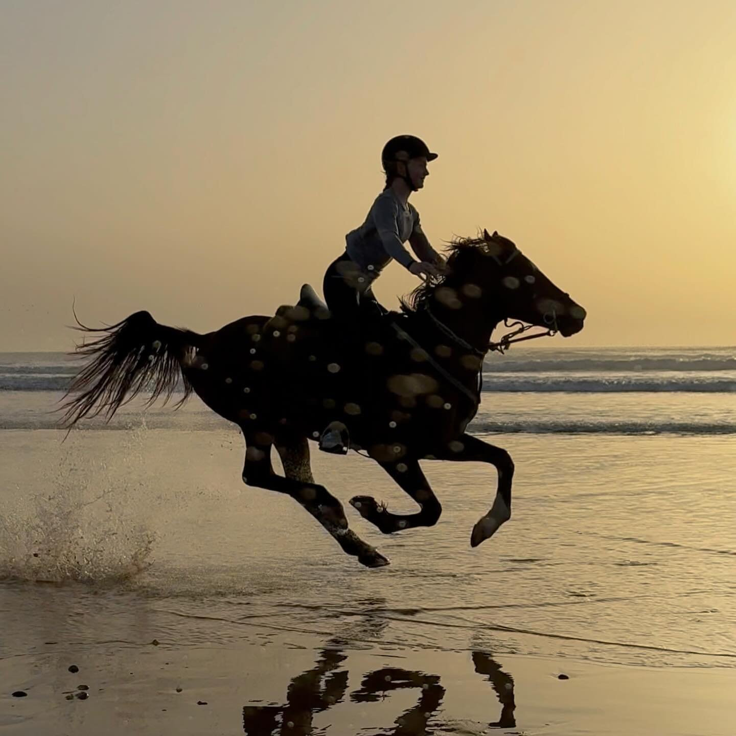 Heute hab ich Fotos sortiert 😅

Und teile schon mal die Sunset ride Fotos mit dir 🌅🐎✨

@anniemilida
@leu_Jax
@racollife
@kristinfux 
@equievasion 
@mogador__horse_

#reitenundyogamarokko #marrakech #equievasion #reitenundyoga #marokko #auszeit #pf