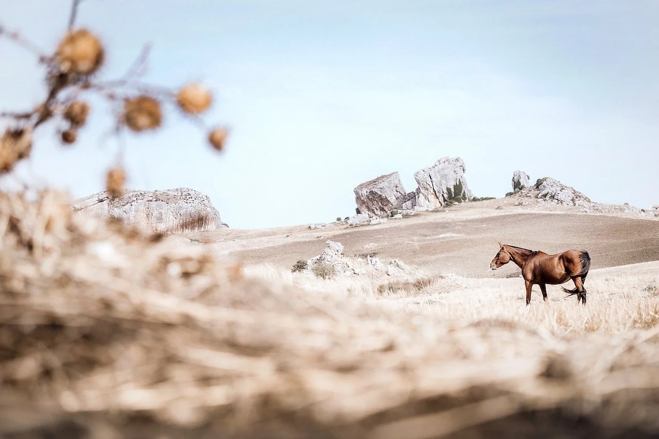 Reiten &amp; Yoga in Sizilien - mit Catherine