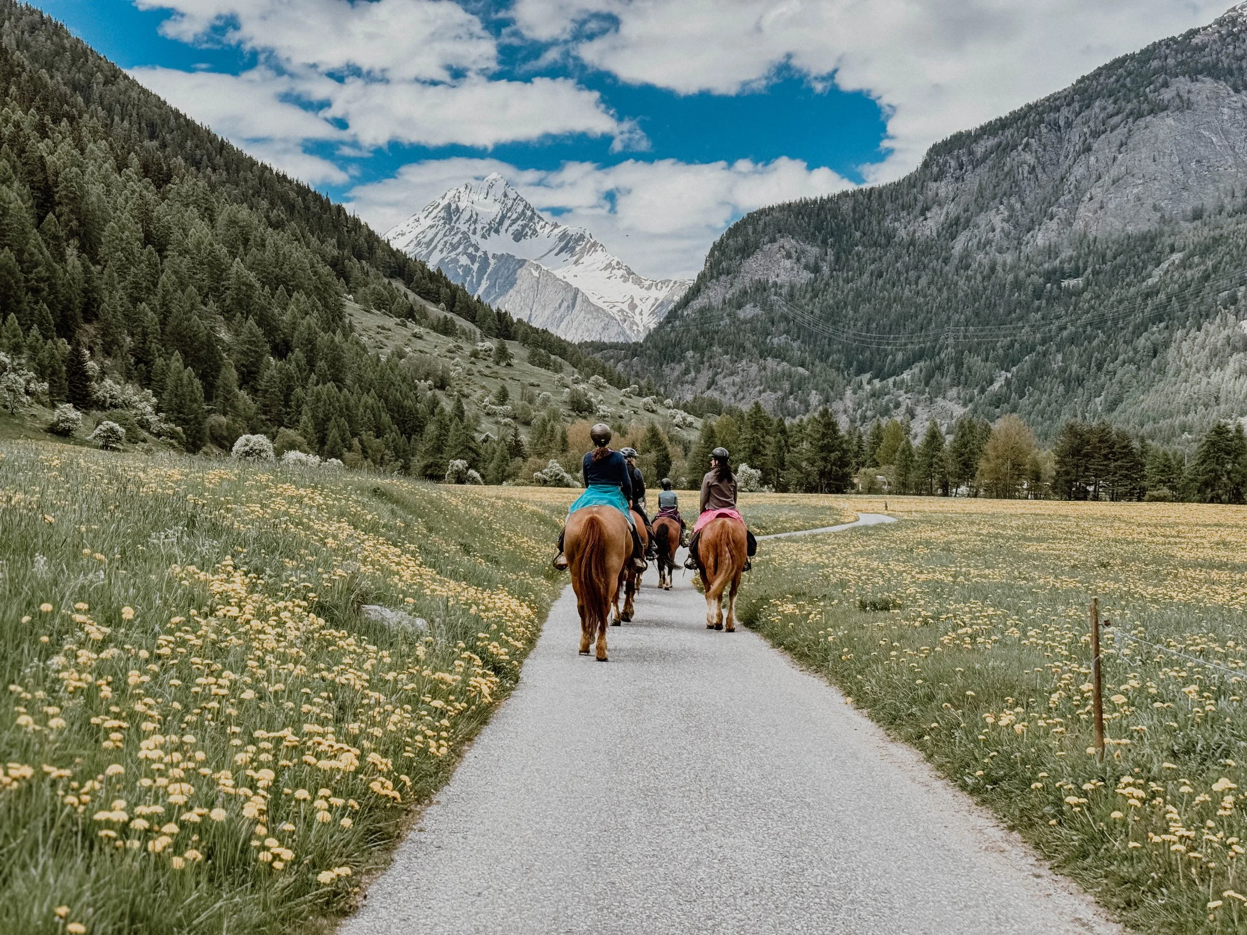 WARTELISTE - Wanderreiten, Wellness &amp; Yoga nach Zernez an Pfingsten - mit Carmen