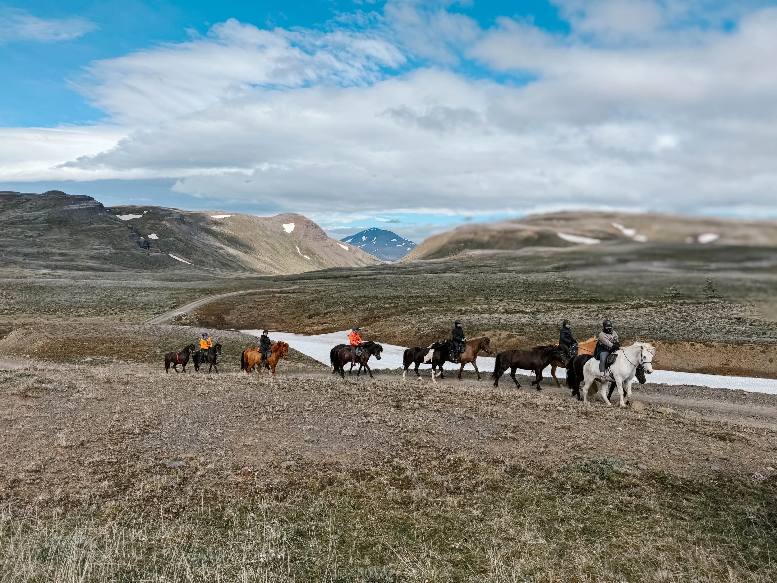 WARTELISTE - Reiten &amp; Yoga in Island - mit Catherine