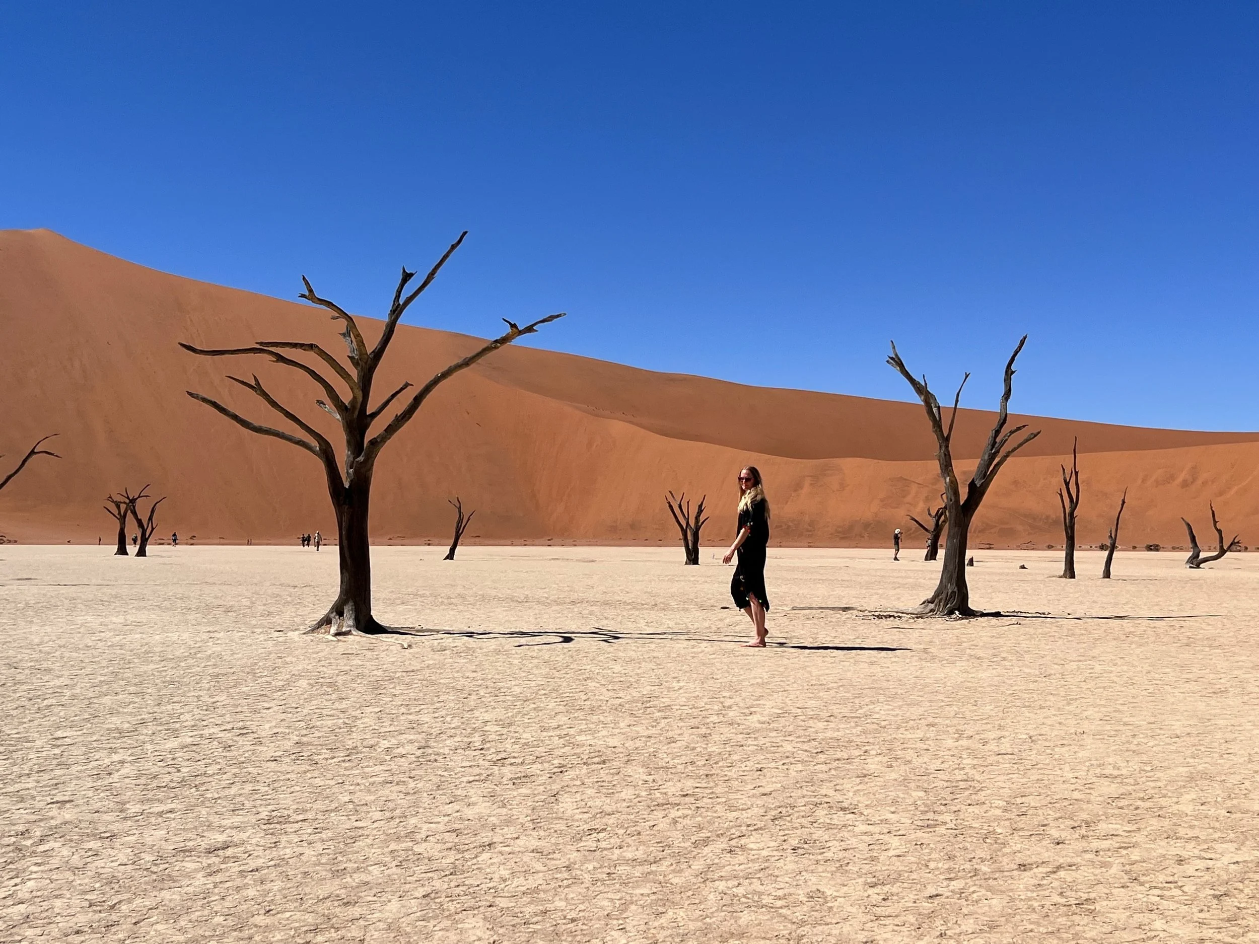 23 Namibia Top 60.jpeg