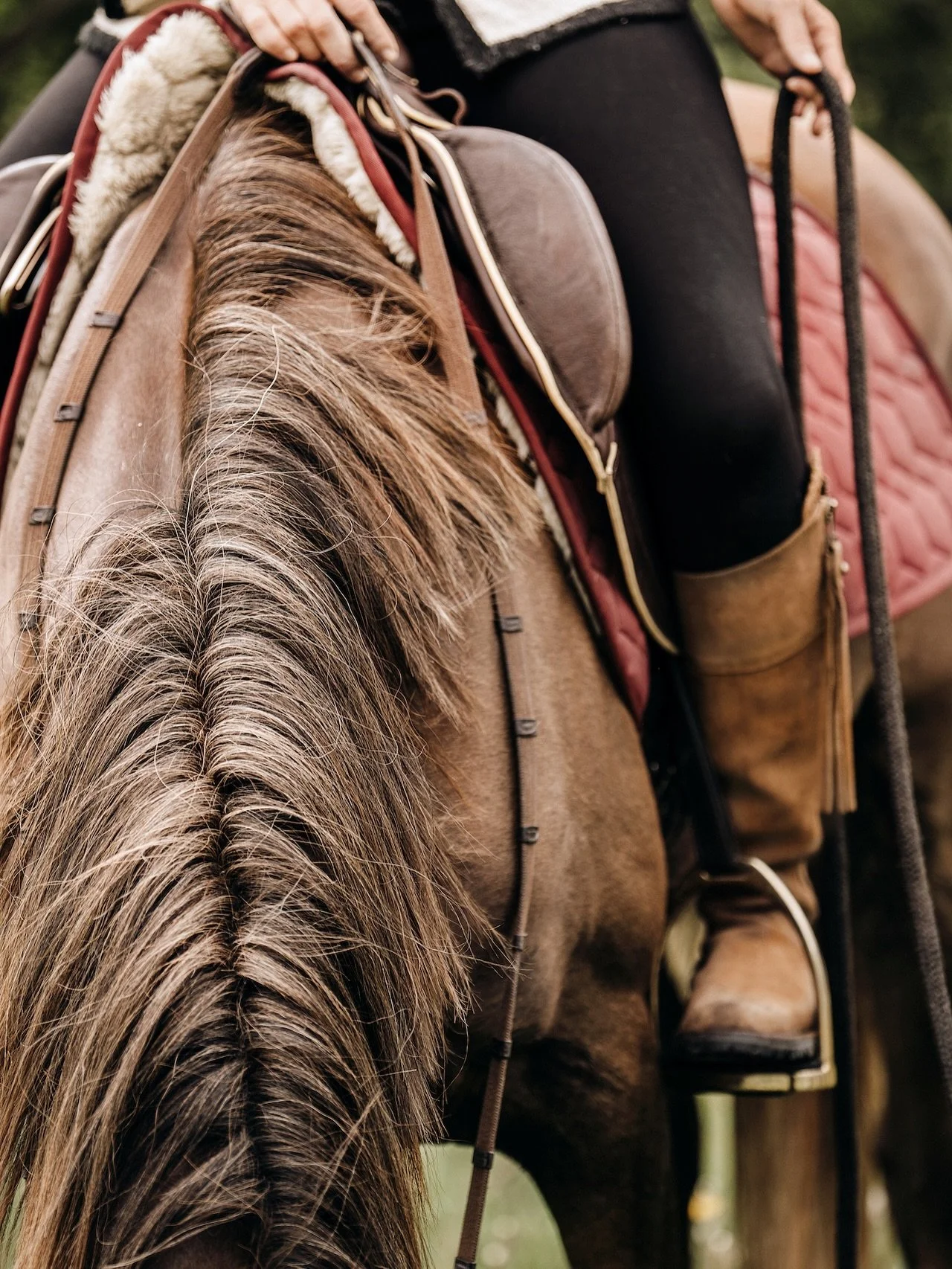 Freiheit ohne Sattel? 🪽

Auf Bildern und in der Vorstellung wirkt es leicht und verbunden &ndash; reiten ohne Sattel, vielleicht sogar ohne Zaumzeug. Nur du und dein Pferd.

Doch was f&uuml;r uns nach Freiheit aussieht, kann f&uuml;r den Pferder&uum