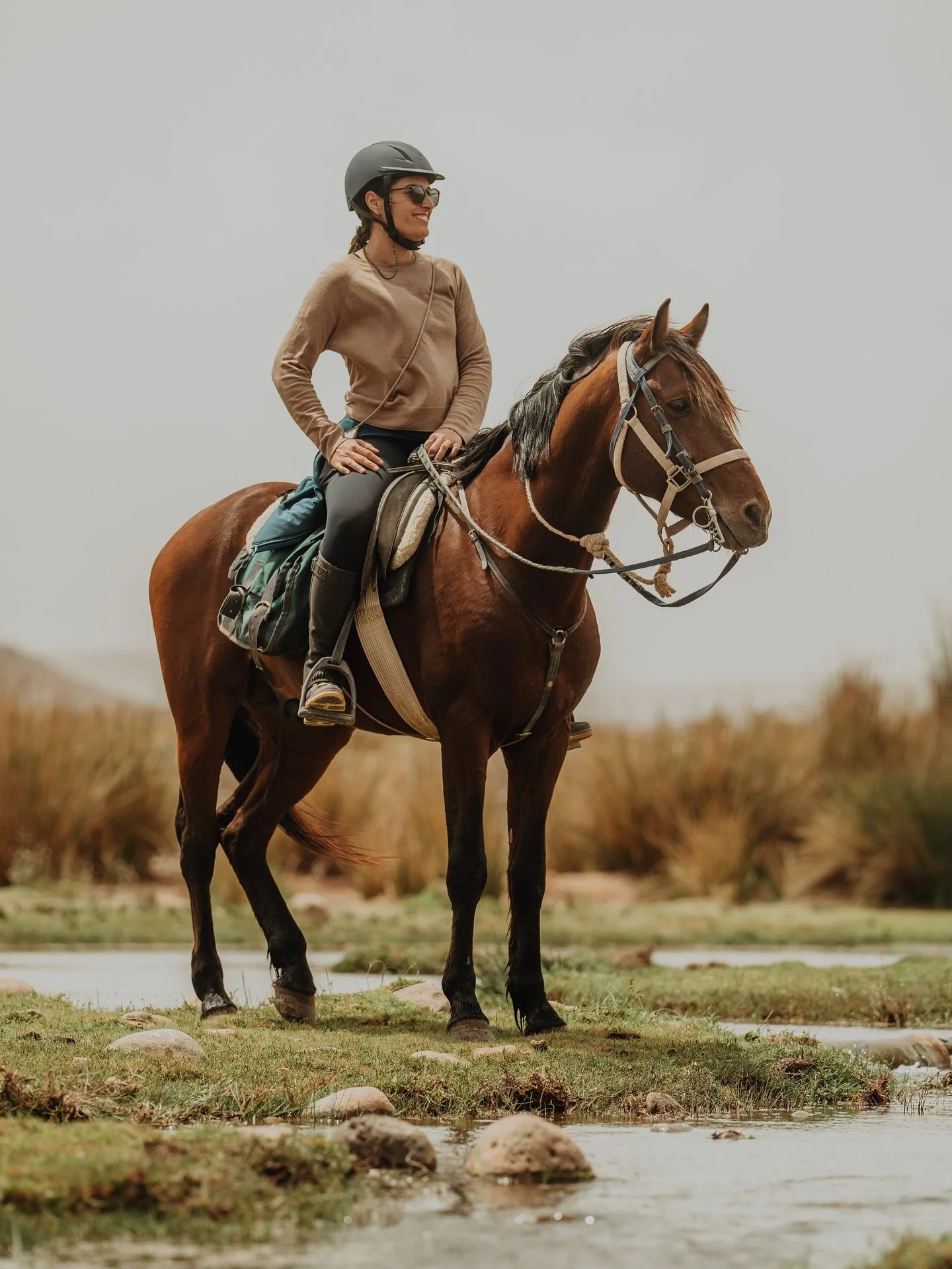 Reiten ist weit mehr als Technik, Kondition und K&ouml;rpergef&uuml;hl. Es ist eine innere Haltung.
Denn oft scheitern wir nicht an der k&ouml;rperlichen, sondern an der mentalen Seite. Wir k&uuml;mmern uns um das Pferd, um Ausr&uuml;stung, Training,