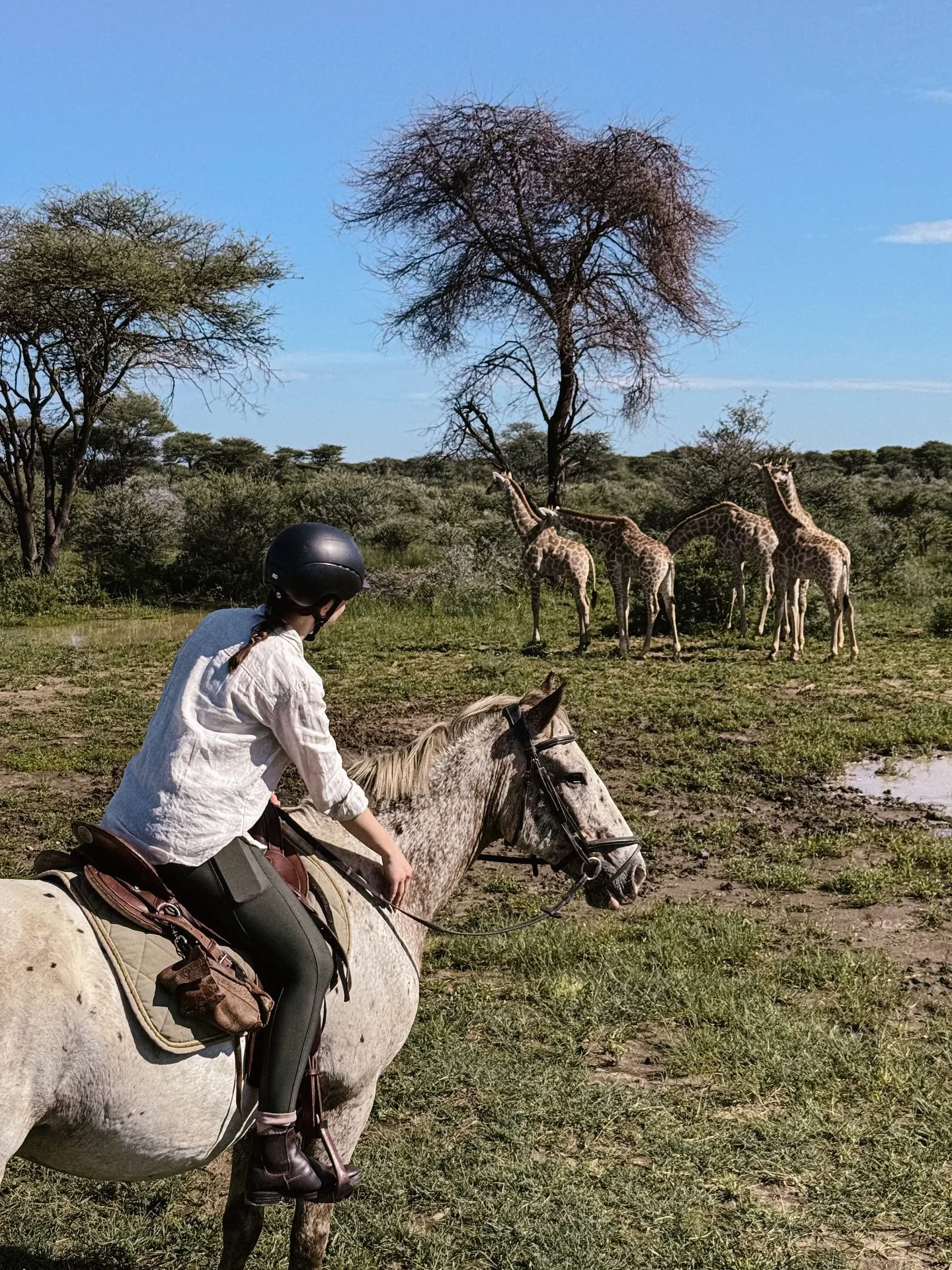 Der freie Platz f&uuml;r unseren Reit-Safari &amp; Yoga Retreat in Namibia vom 14. bis 21. M&auml;rz 2026 war schnell weg &ndash; ist nun aber wieder frei geworden. Wenn du folgendes erleben m&ouml;chtest, lass dir dieses Abenteuer nicht entgehen:

D