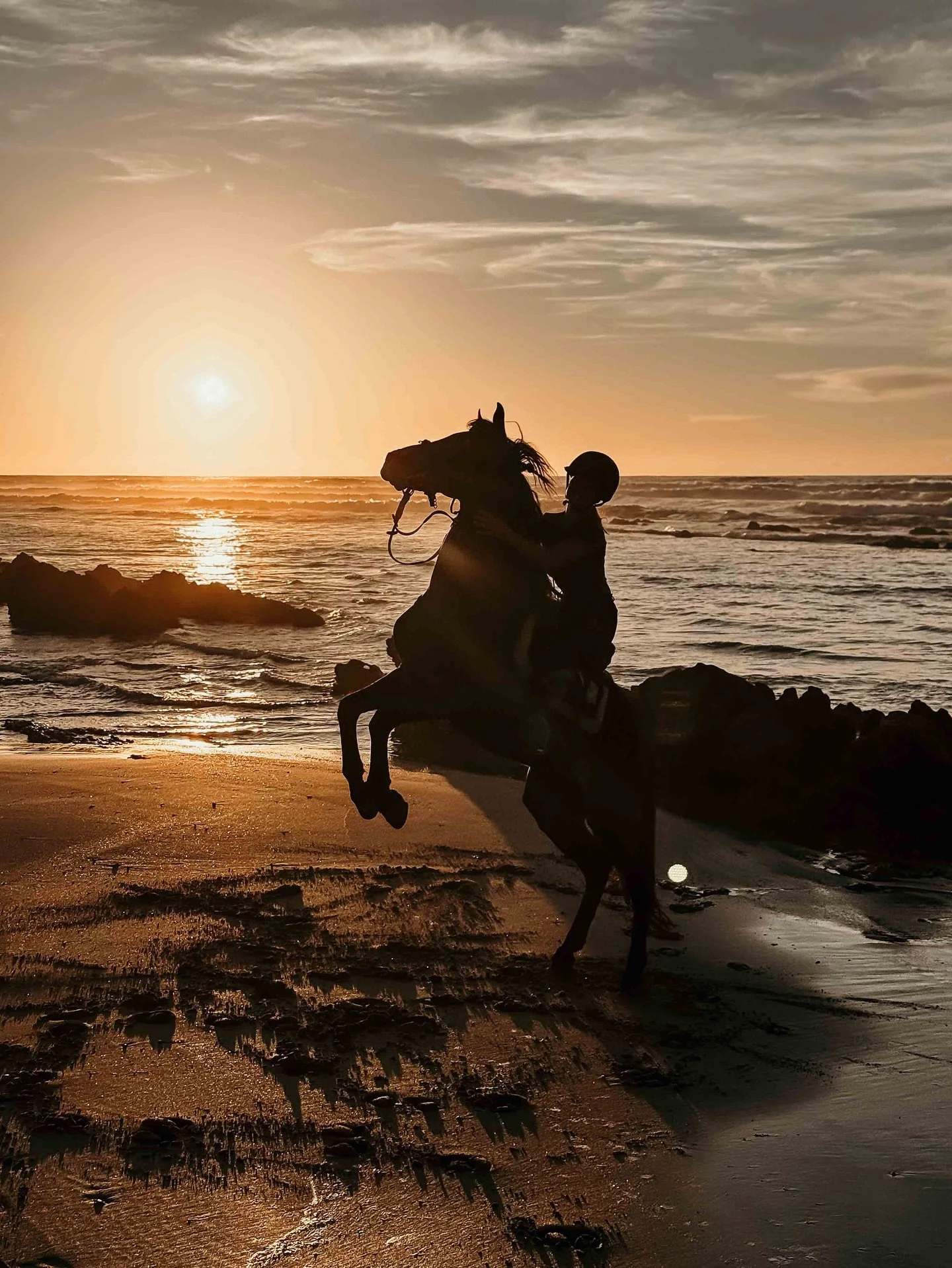 Reiten in Marokko &ndash; was du wirklich k&ouml;nnen solltest 🚀

Unsere Reiten &amp; Yoga Retreats in Marokko sind ein Traum: Sonne, Meer, W&uuml;ste, Pferde &ndash; und das Gef&uuml;hl von Freiheit. Immer wieder werde ich gefragt, wie gut man reit