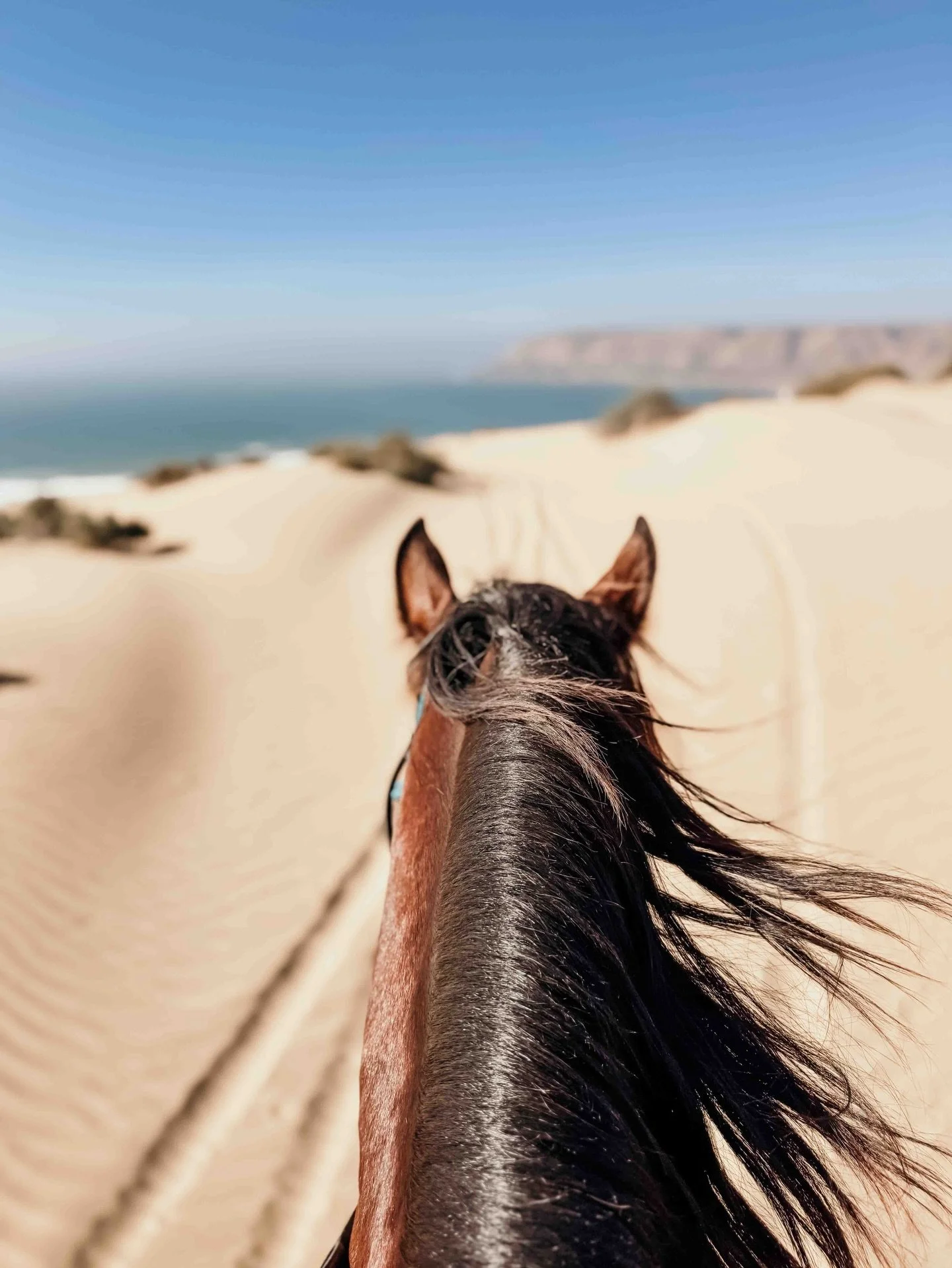 Manchmal merken wir erst sp&auml;t, wie sehr wir versuchen, alles positiv zu sehen, obwohl innerlich l&auml;ngst etwas anderes wirkt. Ich habe in den letzten Jahren oft beobachtet, wie &bdquo;Think positive&ldquo; zum Deckel wird &ndash; auch in der 