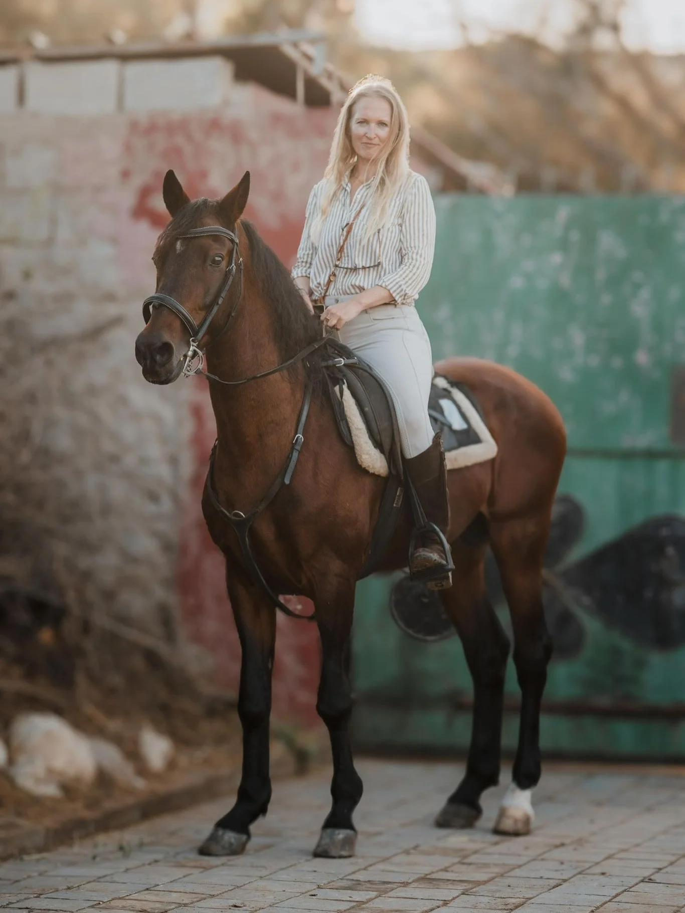 What a month! 🐎⛺️✨
Heute m&ouml;chte ich dir einen Einblick geben, was diesen November alles passiert ist. Anfang Monat war ich schon in Marokko &ndash; diesen Herbst verbringe ich insgesamt sechs Wochen hier. In der ersten Woche durfte ich Debbie @