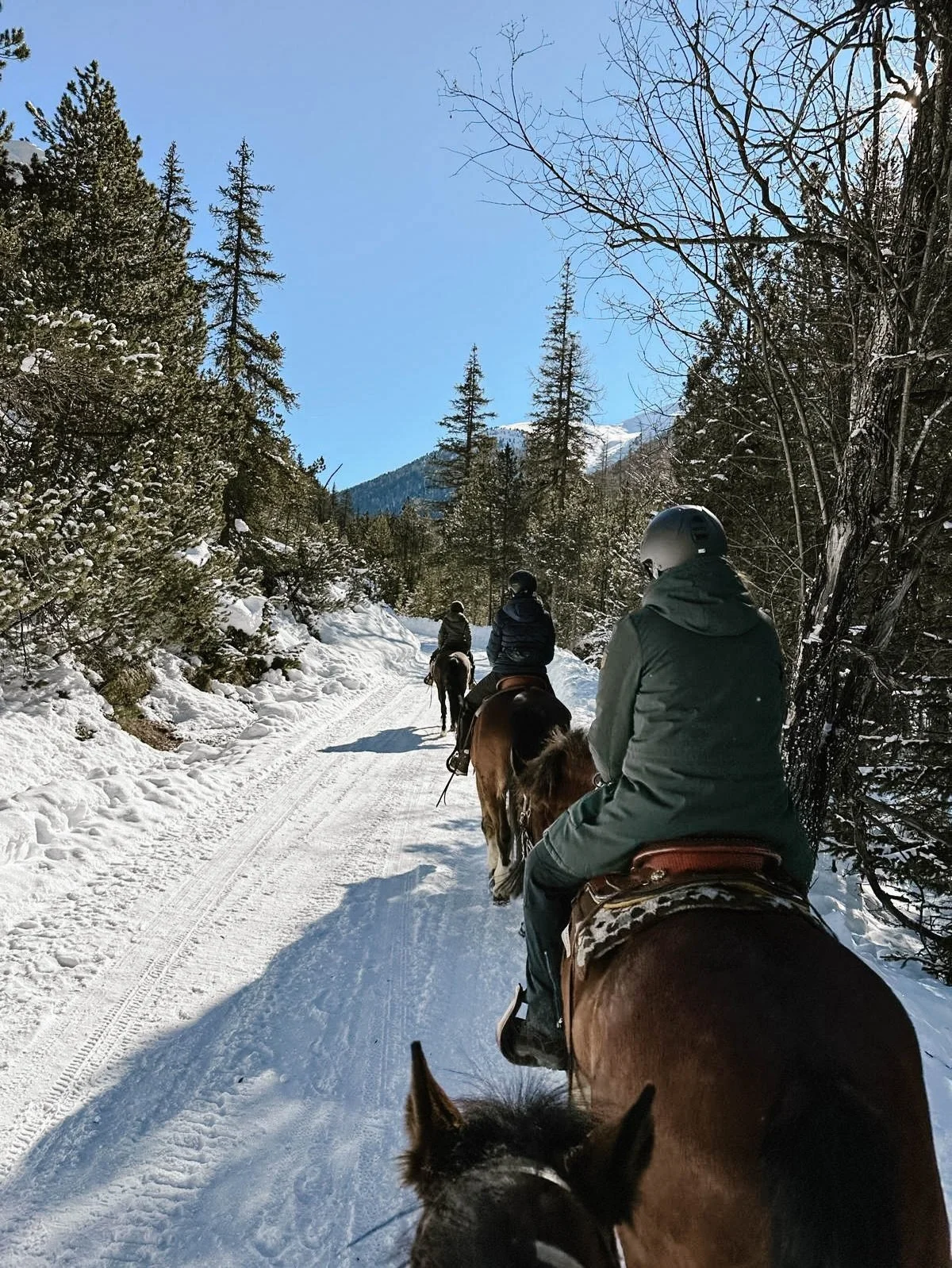 Die Winter-Retreats auf San Jon @sanjonscuol sind fast voll, und vielleicht ist es f&uuml;r dich genau der richtige Moment, dir im neuen Jahr ein paar Tage bewusst freizuhalten. Reiten durch verschneite W&auml;lder im Unterengadin @engadinscuolzernez