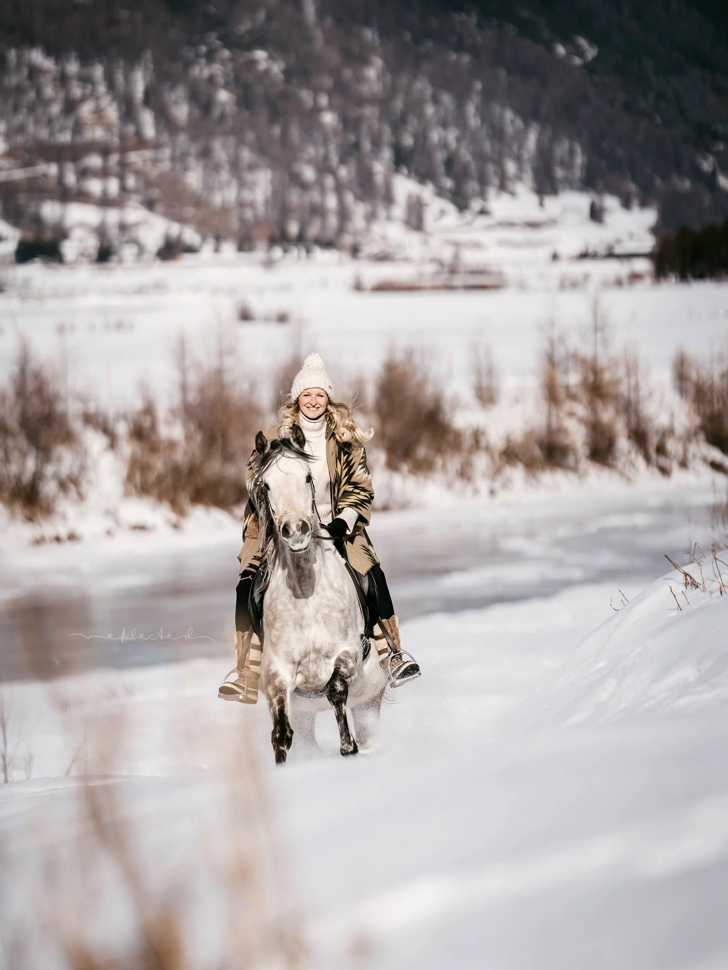 Innere Ruhe ver&auml;ndert alles. Auch die Art, wie wir mit Pferden sprechen 🕊️

Im neuen Blogartikel habe ich dar&uuml;ber geschrieben, warum Druck nicht das Problem ist &ndash; sondern der emotionale Hintergrund, aus dem er kommt. Und weshalb Pfer