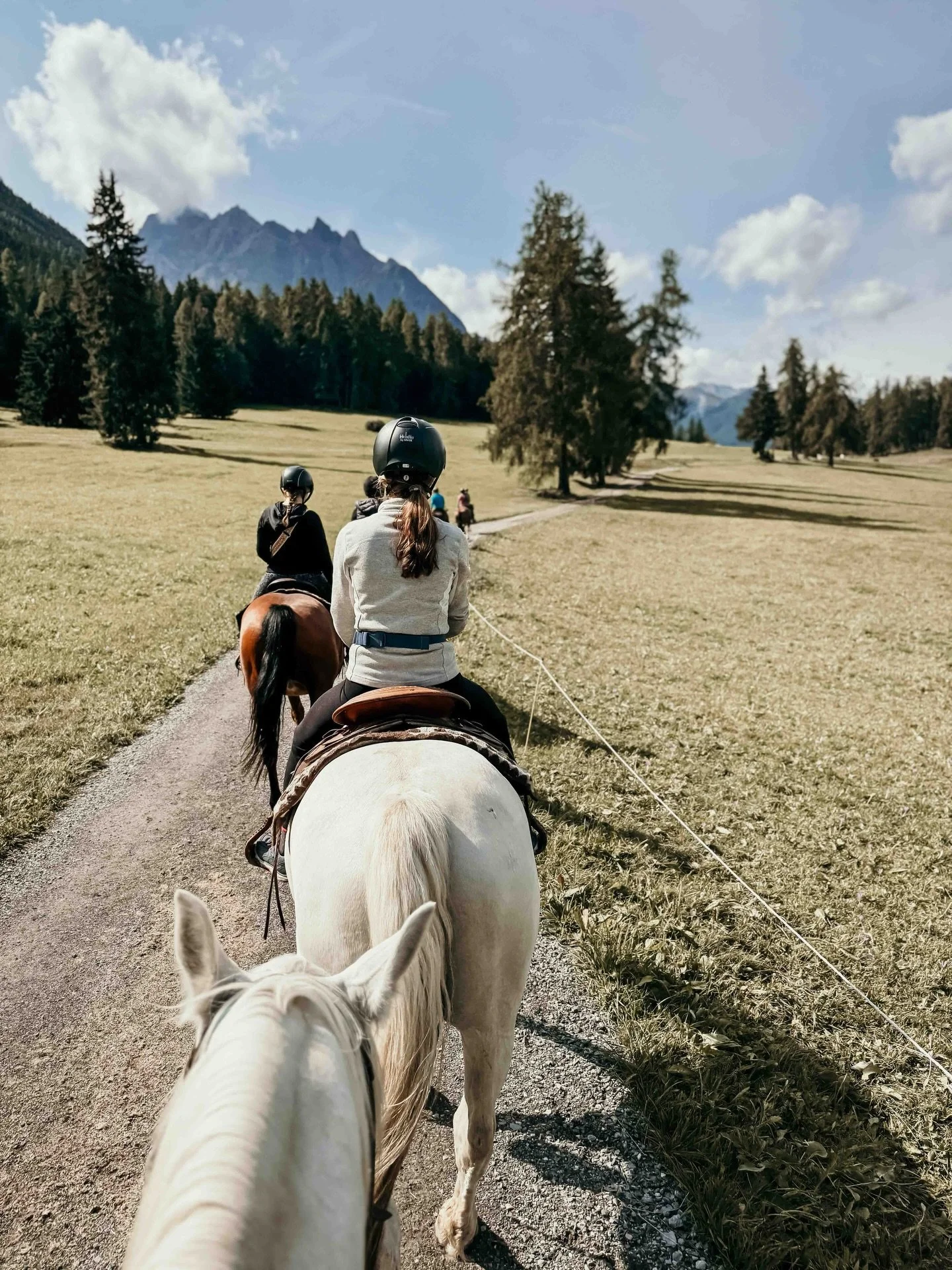 Gestern habe ich dir den Reiten &amp; Yoga Retreat zum Morteratschgletscher vorgestellt. Heute m&ouml;chte ich dir gerne zeigen, welche anderen Optionen du hast, wenn du n&auml;chsten Sommer mit uns auf einen Wanderritt kommen m&ouml;chtest 🏔️🐎🪶

