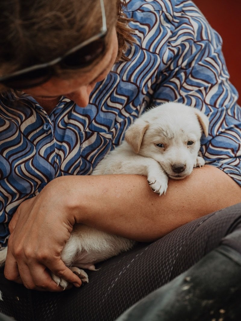 Pausen sind nicht das, was &uuml;brig bleibt, wenn alles erledigt ist, sondern die Grundlage daf&uuml;r, dass wir &uuml;berhaupt nachhaltig denken und handeln k&ouml;nnen. Genau darum geht es in meinem Blogpost, den ich vor kurzem ver&ouml;ffentlicht