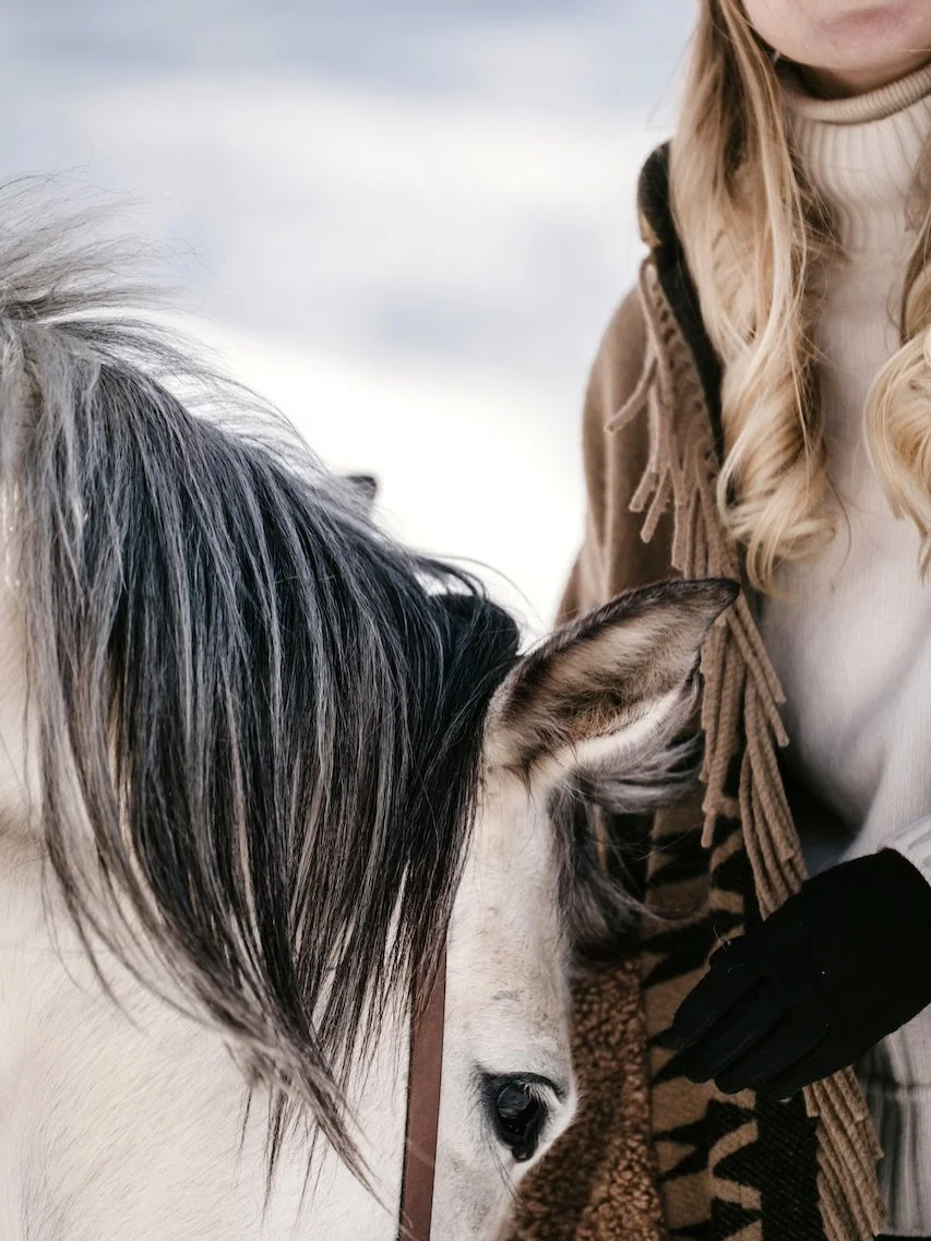 Ich bin kein Fan von Schenken um des Schenkens willen, aber manchmal gibt es Menschen, denen man gerne etwas mitgibt, das wirklich Freude macht und auch genutzt wird. Genau daf&uuml;r habe ich eine kleine Auswahl zusammengestellt: Geschenkideen f&uum