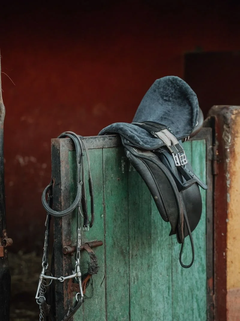 In vielen Sattelkammern stapelt sich gut erhaltenes Material, das kaum mehr gebraucht wird. Zu schade zum Wegwerfen, aber oft fehlt die passende Idee, wohin damit 🤷🏼&zwj;♀️

In Marokko ist die Situation genau umgekehrt: Gutes, sicheres Reitmaterial