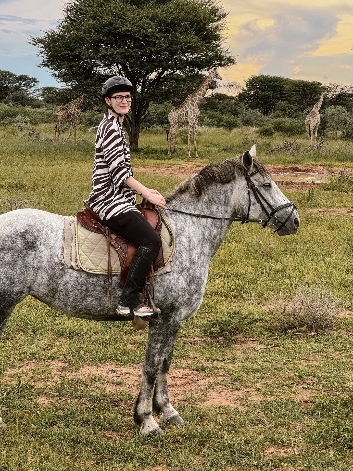 Namibia ist f&uuml;r viele ein Ort, der Tr&auml;ume weckt. Weite Landschaften, gl&uuml;hende Sonnenunterg&auml;nge, Giraffen vom Pferd aus beobachten &hellip; Genau deshalb kehren wir immer wieder hierher zur&uuml;ck 🦒🌅🐎🧘🏻&zwj;♀️

Unsere Reitsaf