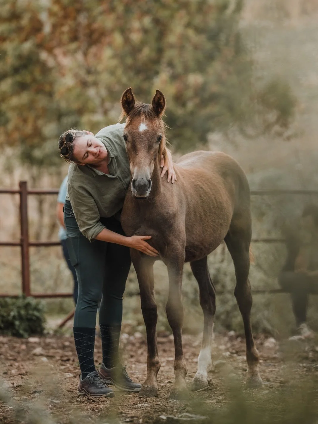 Wir haben etwas Neues 🤩🐎
Mit &bdquo;Zur&uuml;ck im Sattel&ldquo; ist ein neues Programm entstanden f&uuml;r Menschen, die bereits etwas Erfahrung mit Pferden haben oder nach einer Pause wieder sicher einsteigen m&ouml;chten und ihr Wissen vertiefen