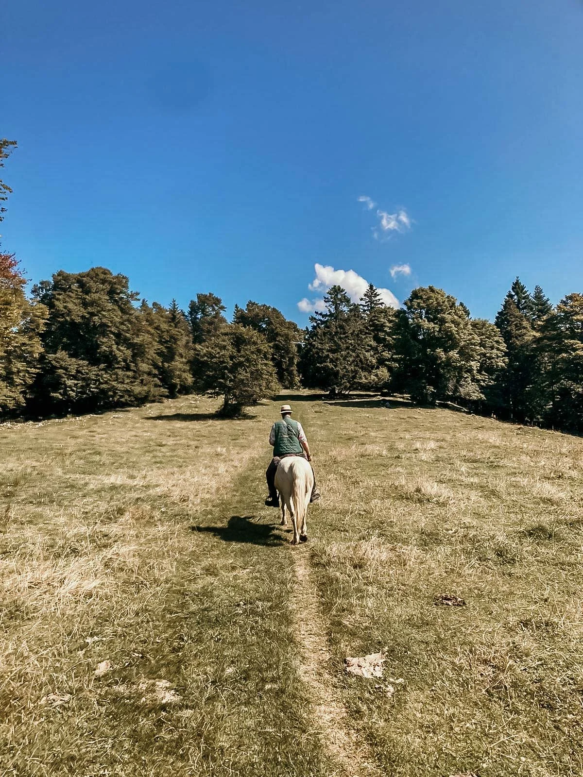 Reiten & Yoga Jura 1.jpg