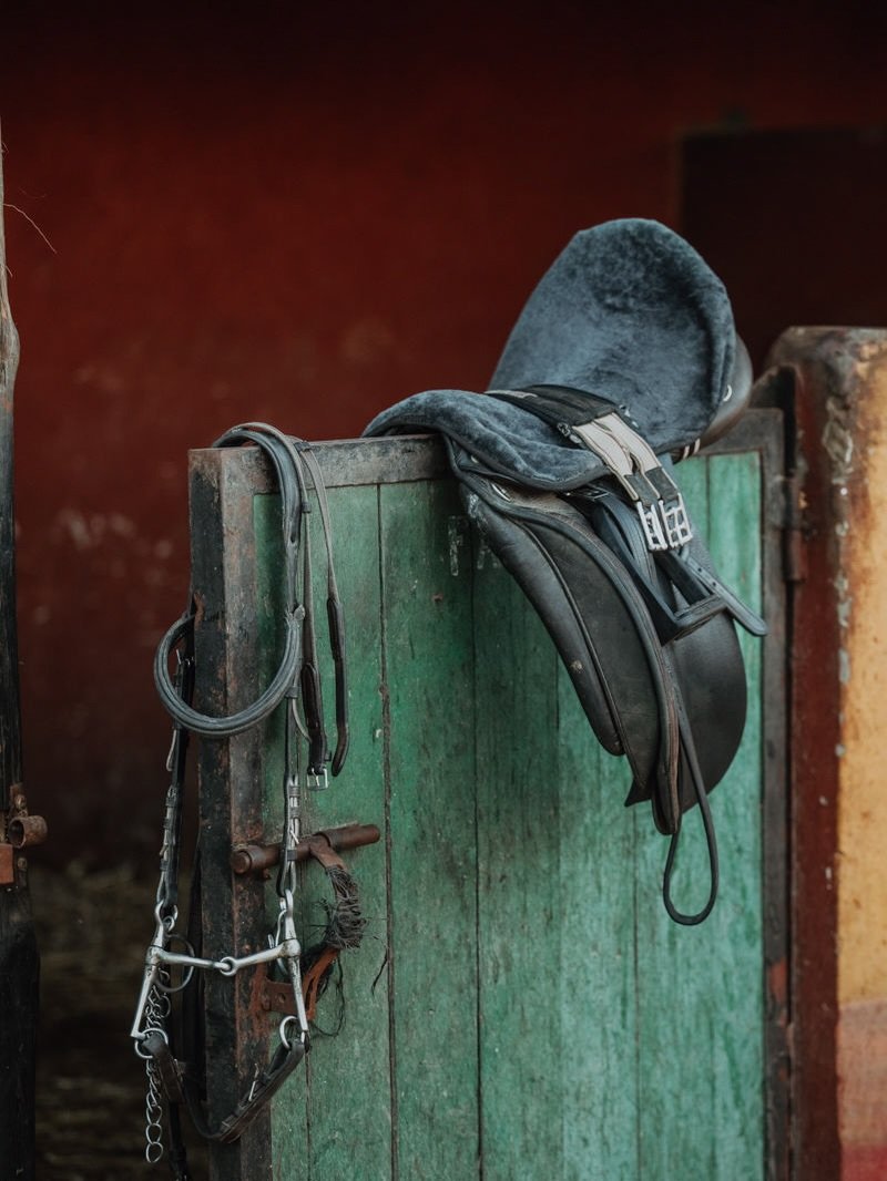 Anfangs Februar ist es wieder so weit: Wir schicken Pferdematerial nach Marokko zu Equi Evasion. In den letzten Wochen sind bereits viele gut erhaltene S&auml;ttel, Zaumzeuge, Steigb&uuml;gel, Sattelgurte und weiteres Material zusammengekommen.

Der 