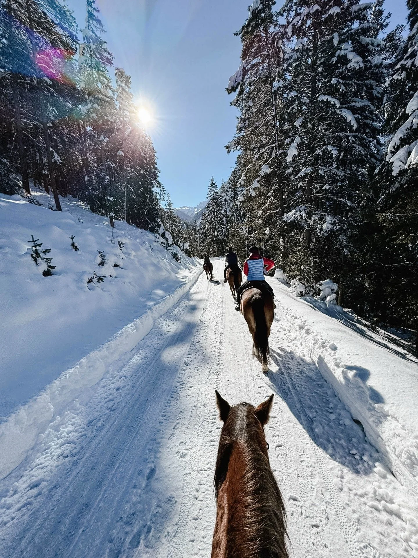 In einem Monat ist es so weit, und der letzte Winter Retreat dieser Saison beginnt. Danach ist diese besondere Zeit wieder vorbei &ndash; das Reiten im knirschenden Schnee, die ruhigen Stunden am Kamin, die Yogastunden, nach denen du dich geerdet und