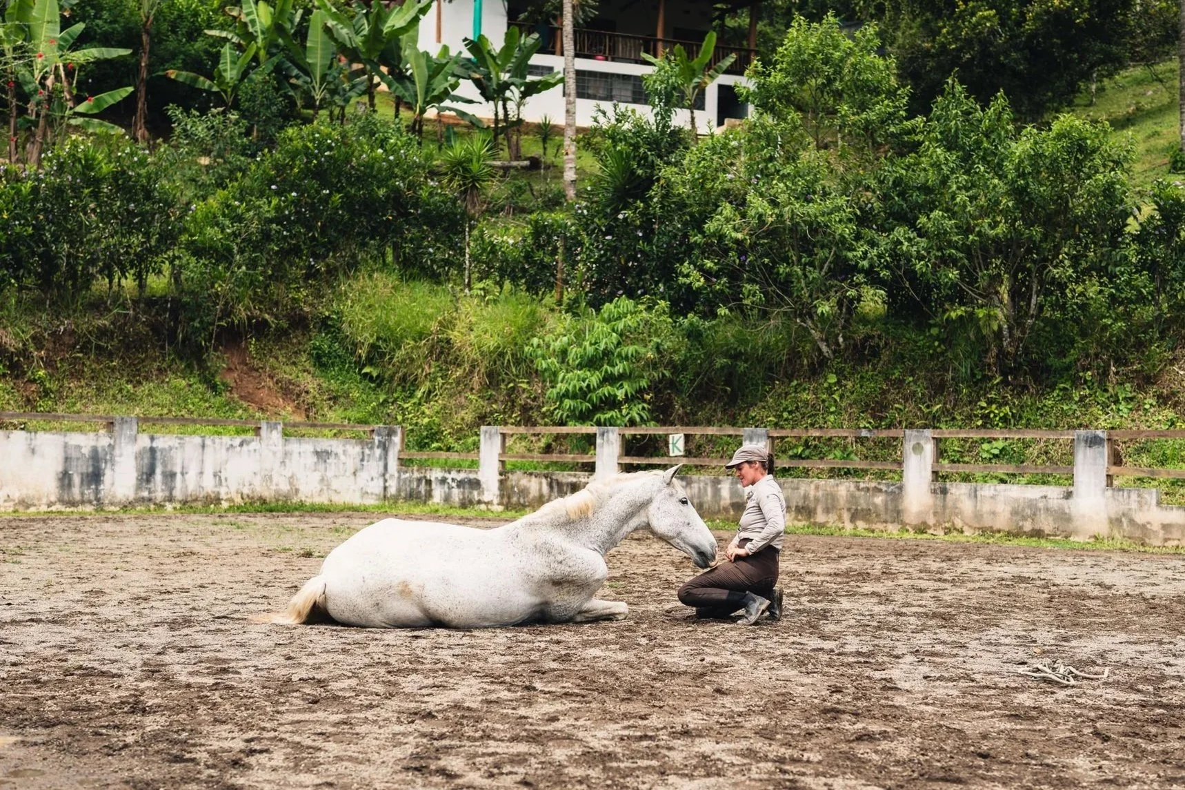 Horsemanship &amp; Yoga Retreat in Costa Rica | Finca Soley